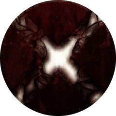 crz_x