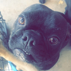 ??????