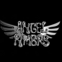 ANGEL NMBRS