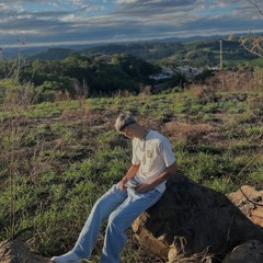 LV_MC