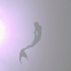 kkaexn__
