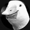MONSIEUR GOOSE