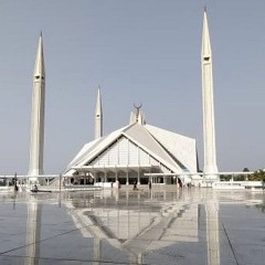 Mona Falak