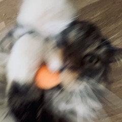 Marie_