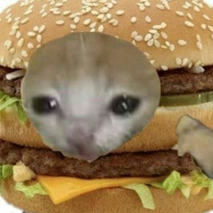 Hamburger 🍔