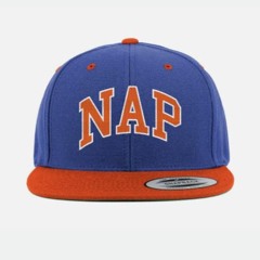 NAP / Narcolepsy Awareness Project
