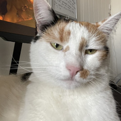 Tom