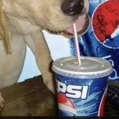 Pepsifon🌭