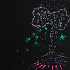 Black Kitties / Ikigaï