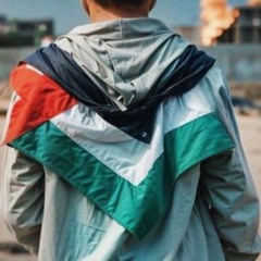 🇵🇸