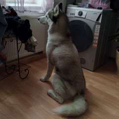 R Meinert M000M.simdif