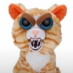 Fuckmychunguslife559