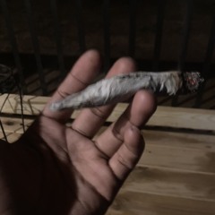 Ynot5