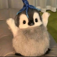 Vịu ơ