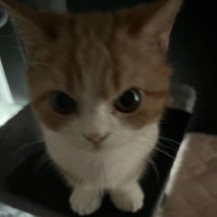 Giuliano