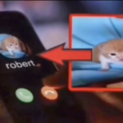 robert sex dungeon