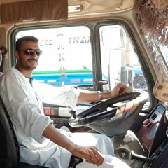 محمد السيد الصعيدي