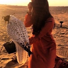 وديـمـه