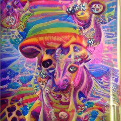 The Cosmic Traveler