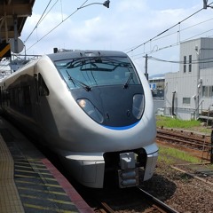 雪卯