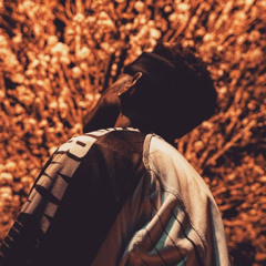 zaybans300