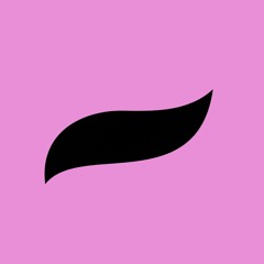 Don Flamingo