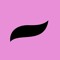 Don Flamingo