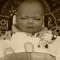 habib