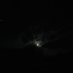 1700RAMBO (@odissiuskaine)