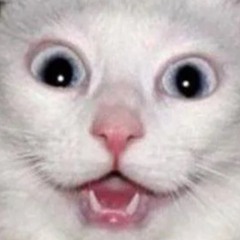 SeeCatTek