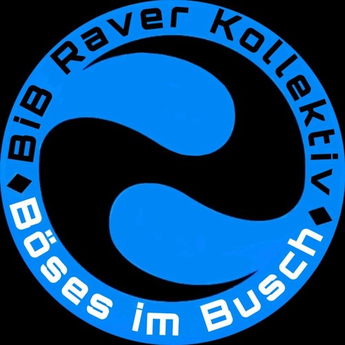 🪩BIB RAVER KOLLEKTIV 🪩’s avatar