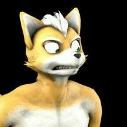 Fox McCloud +18’s avatar