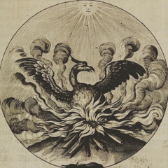 ketàinmynois