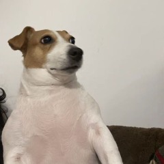 ꋫ꒒ꍟꇓ ꃃꍟꋫ꓅