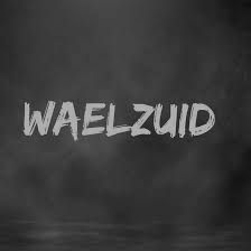 waelzuid’s avatar