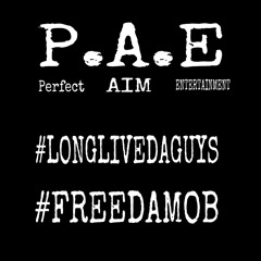 P.A.E