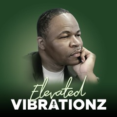 Elevated Vibrationz