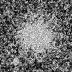 Supernova Tamagotchu