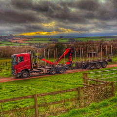 COOPS🪵👌😮‍💨