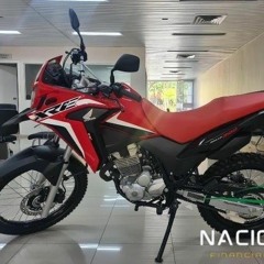 Salvador Junior