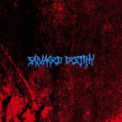 Salvaged Destiny