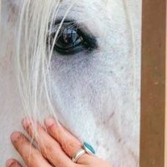 محمد بن سعود البعلي