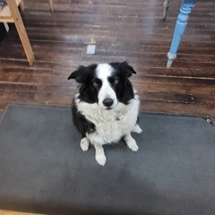 marley