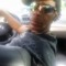 darryl smith