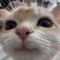 👀