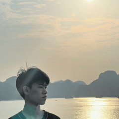 Hoang Anh