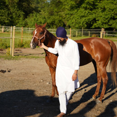Jagpal Gill