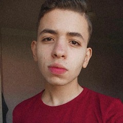 Mohamed Ali fadel