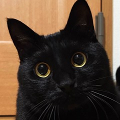 Odd_Potato