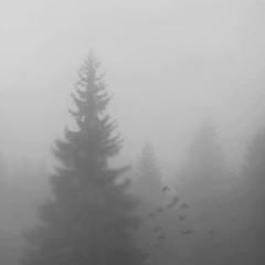ㅤ